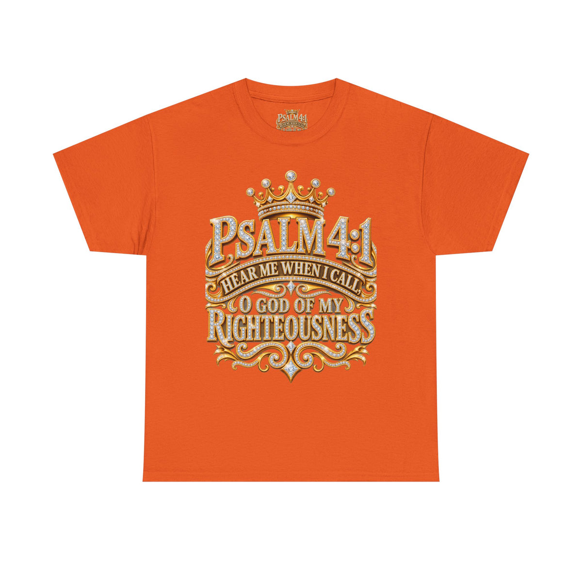 Jeremiah 29:11 Tee | Christian Hope T-Shirt | Faith Apparel
