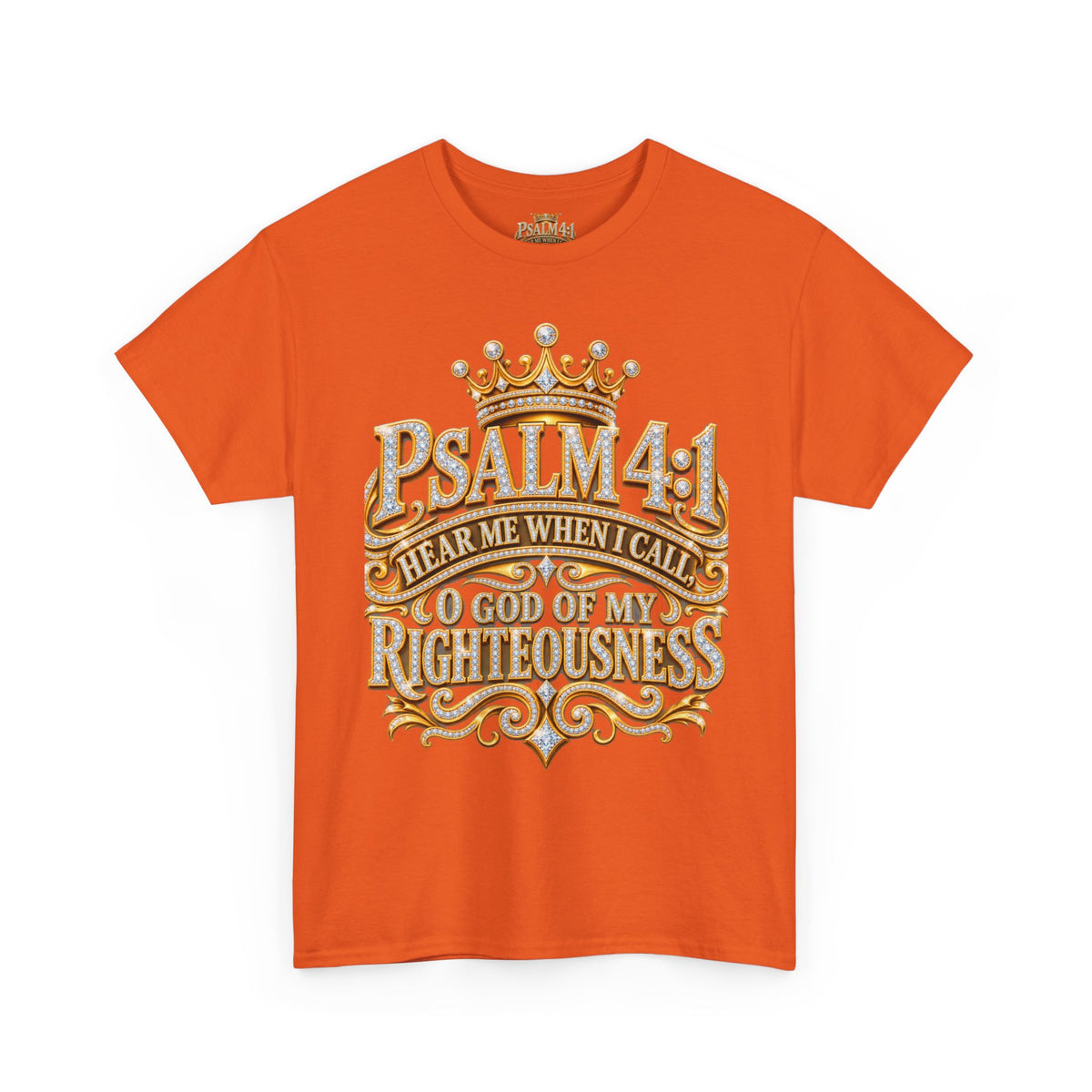 Jeremiah 29:11 Tee | Christian Hope T-Shirt | Faith Apparel
